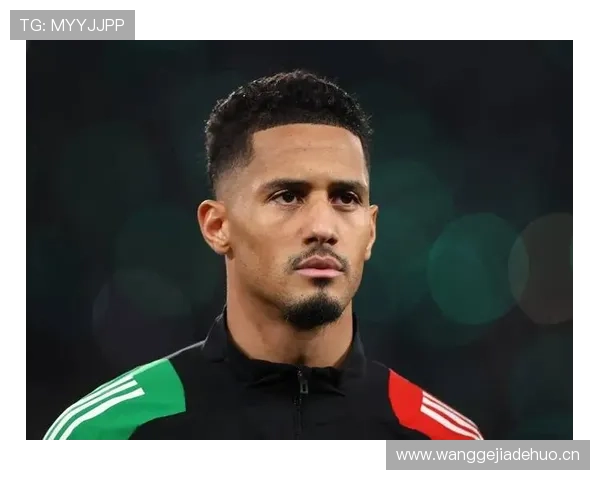 威廉·萨利巴：阿森纳重金打造的防线核心解析