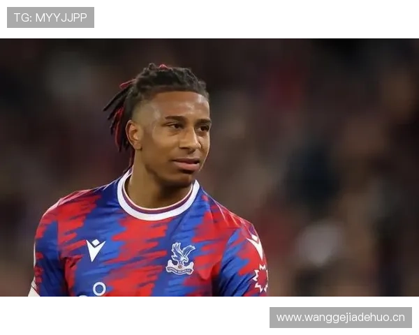 奥利塞表现稳定性不足如何体现